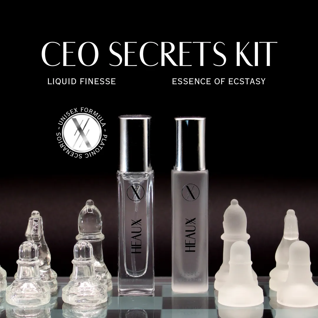 CEO Secrets Kit