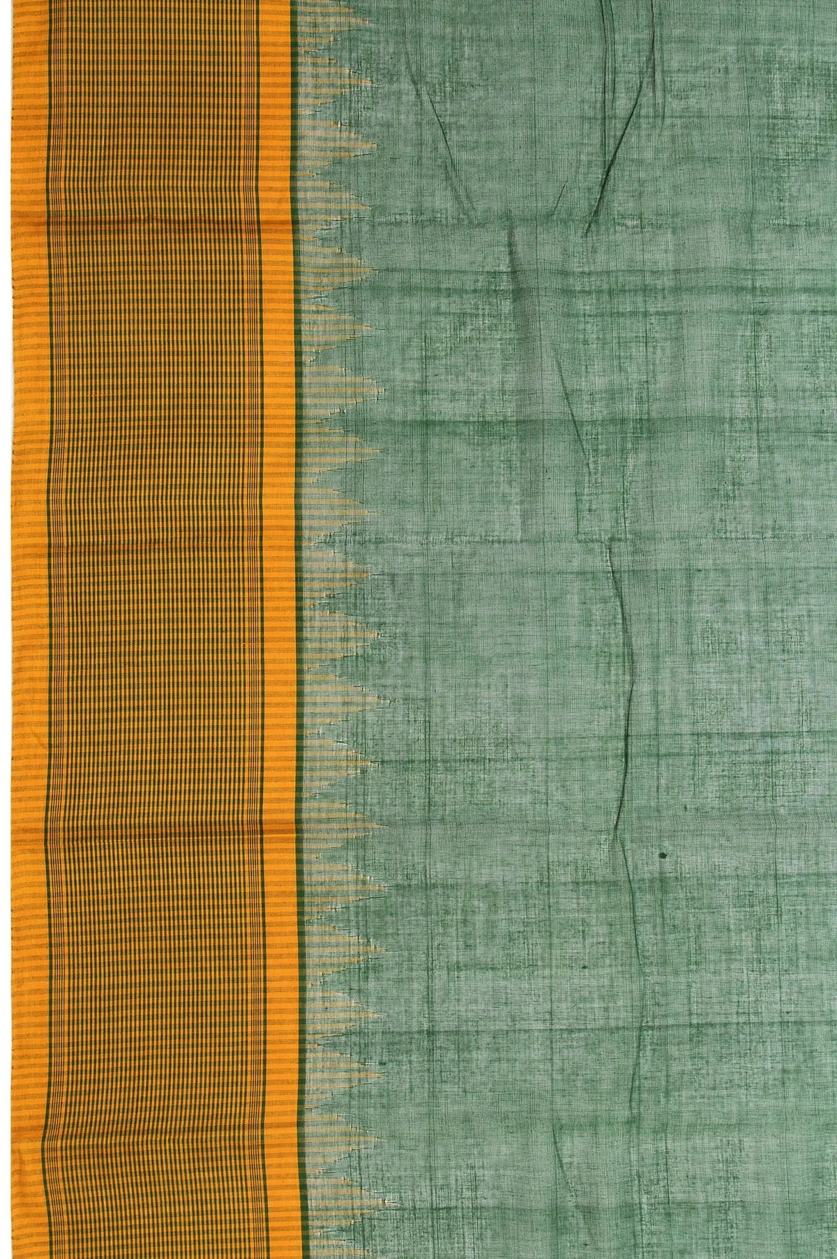 Green Kanchi Cotton Saree with Beige Plain Border