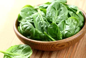 Heirloom Organic Whale Spinach Seeds