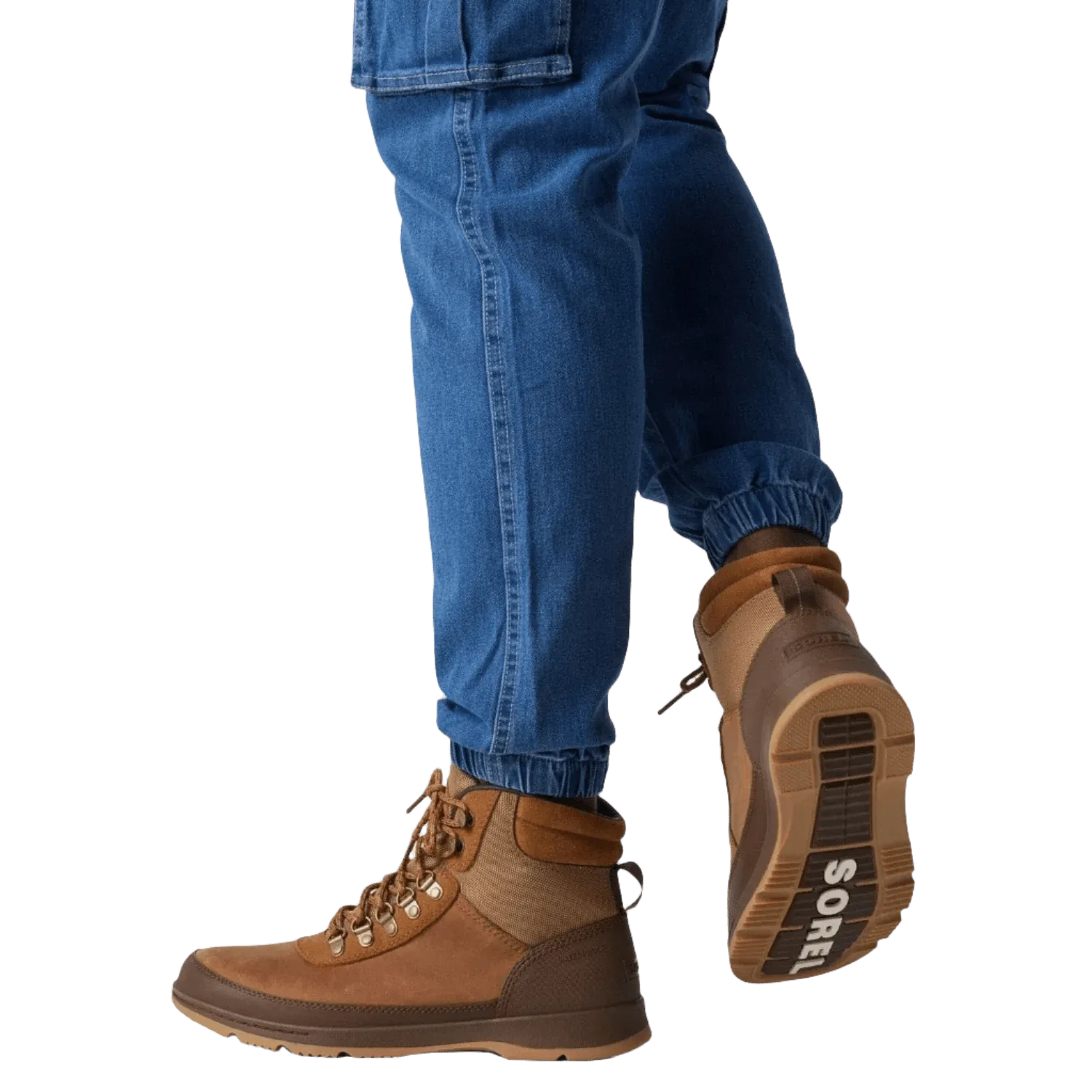 Men's Ankeny II Hiker Plus Waterproof Boot